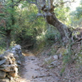 Sentier du Giussani